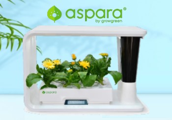Enjoy Up to 30% Off on Aspara Smart Grower